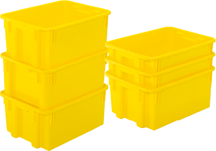 Gタイプ